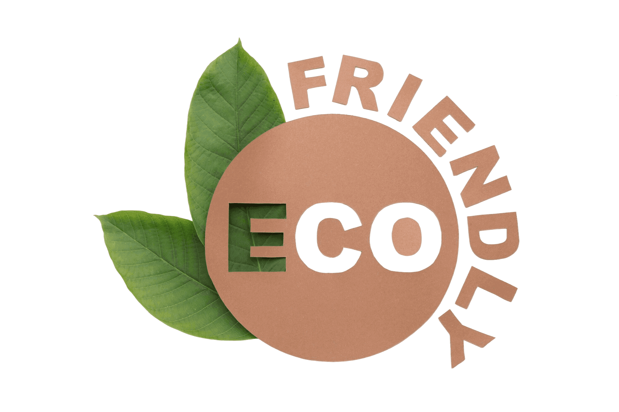 Eco-Friendly & Sustainable image