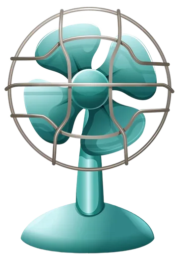 Fans